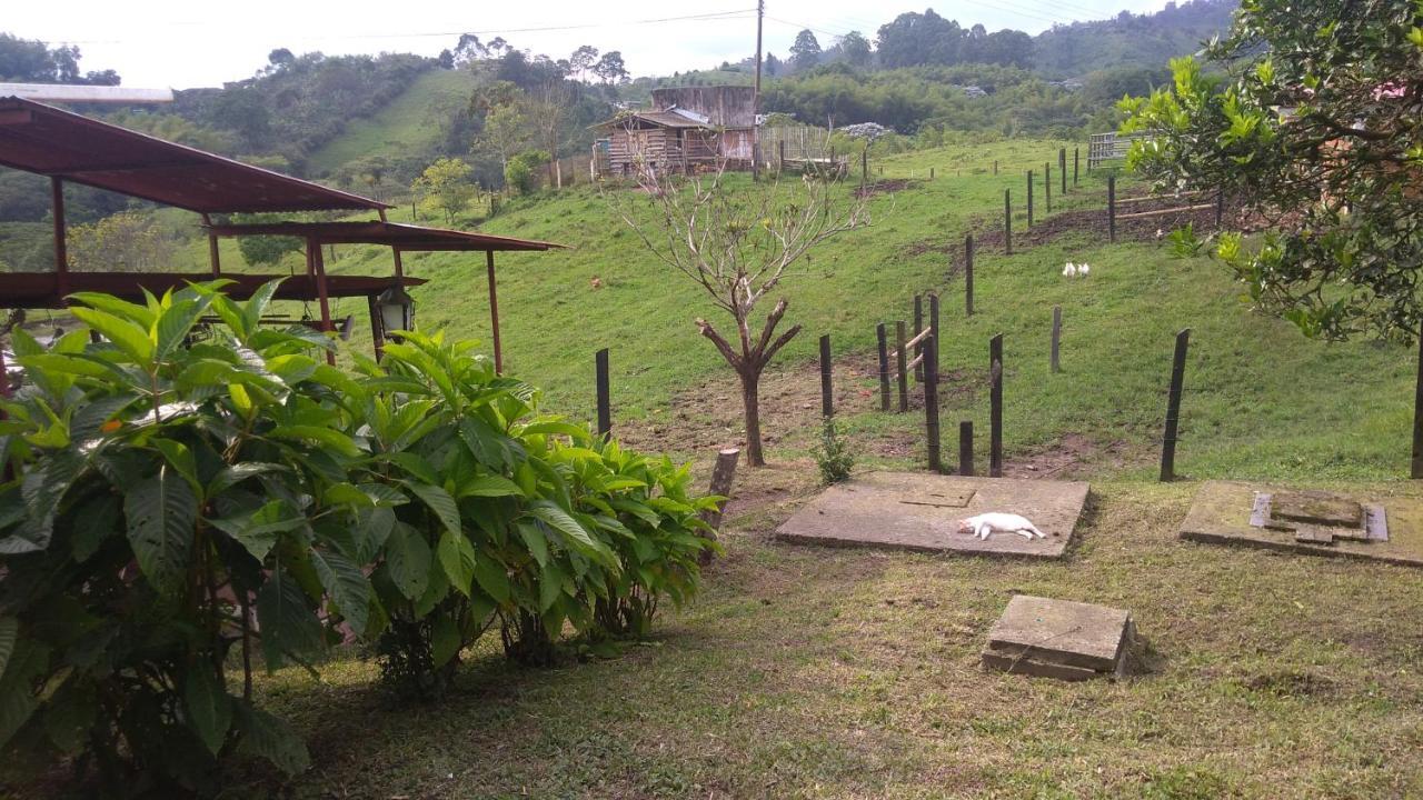 Rancho Ventura Farm stay Filandia
