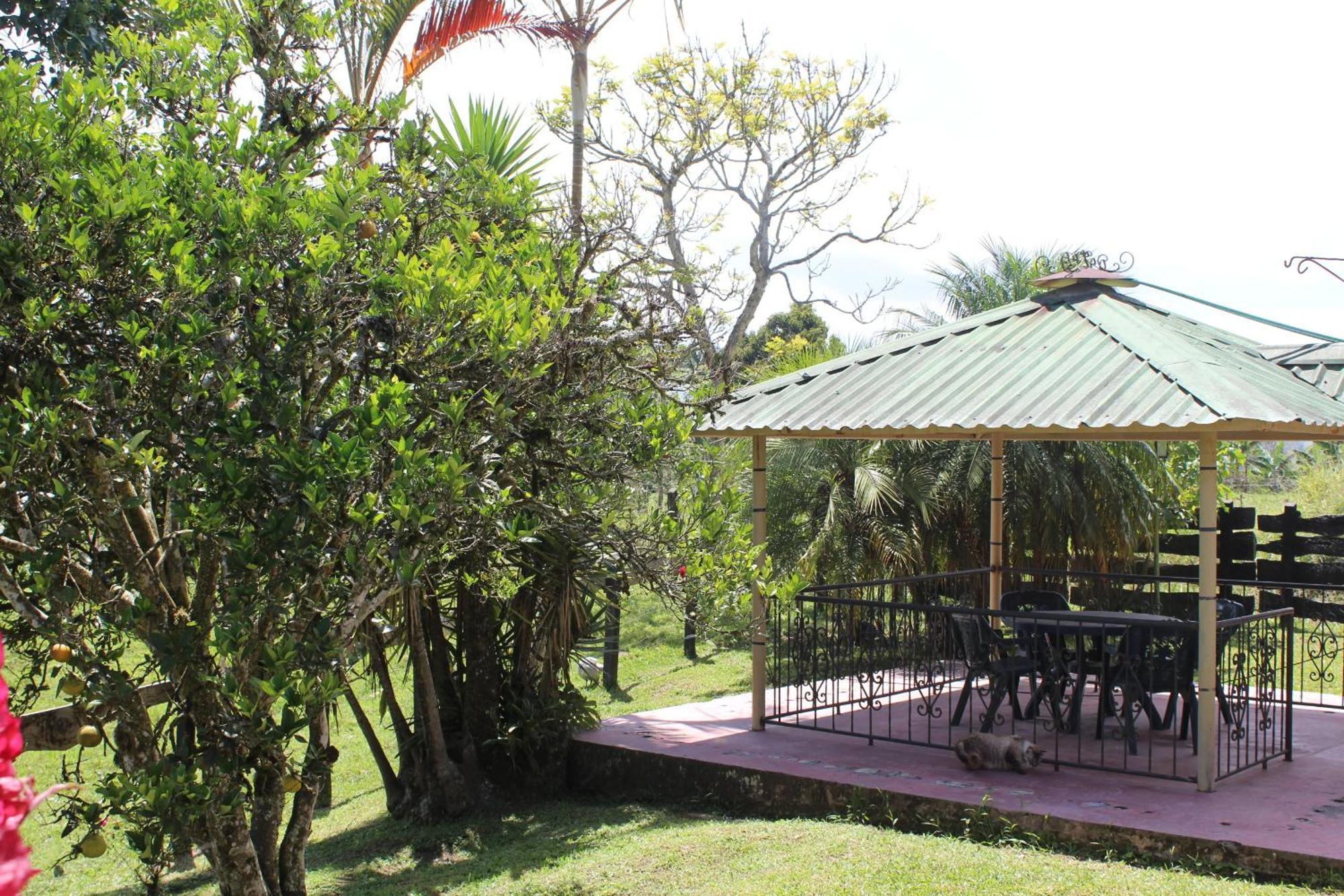 Rancho Ventura * Filandia